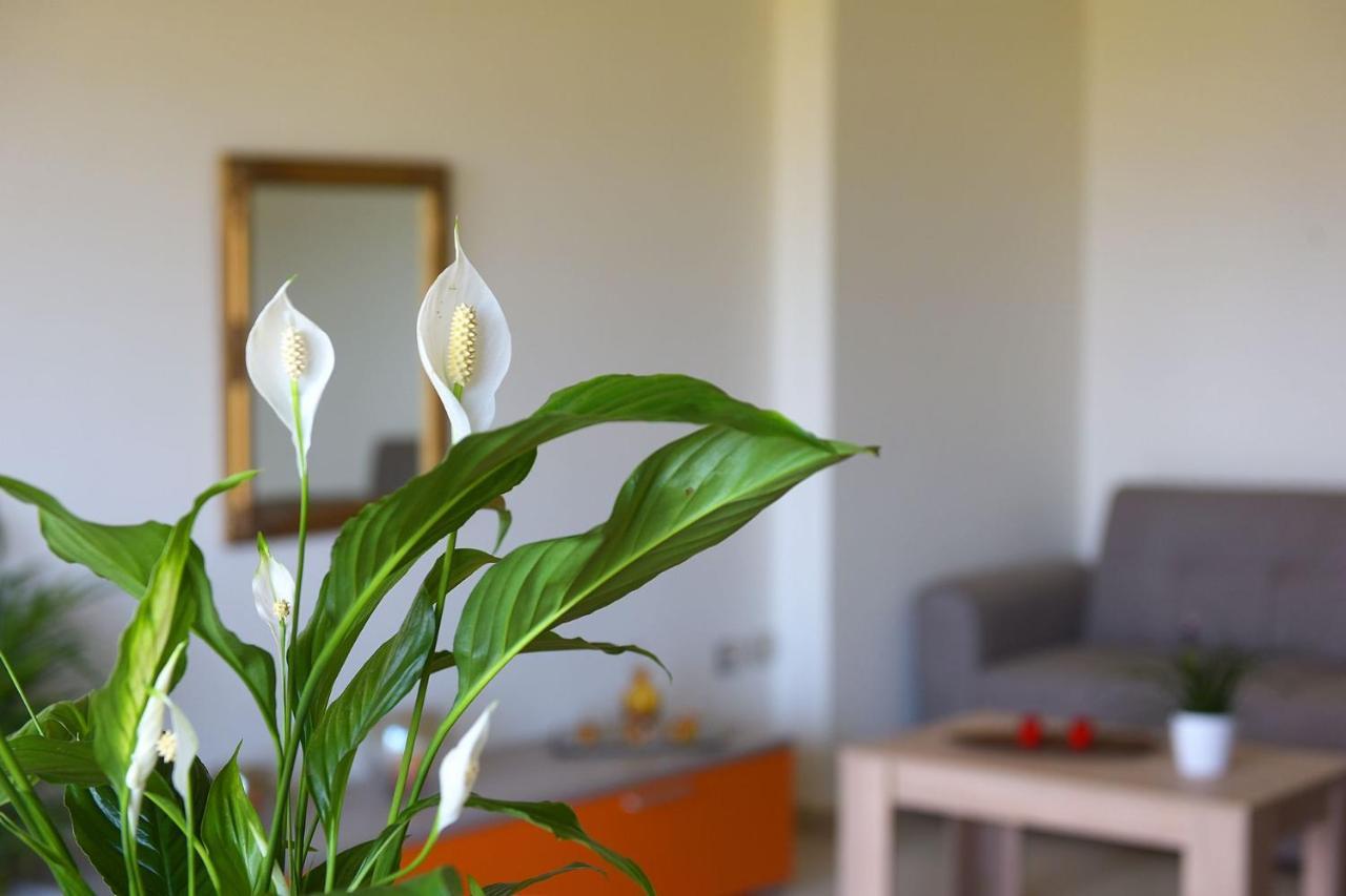 Stelia Luxury Apartments Kalavárda Екстериор снимка