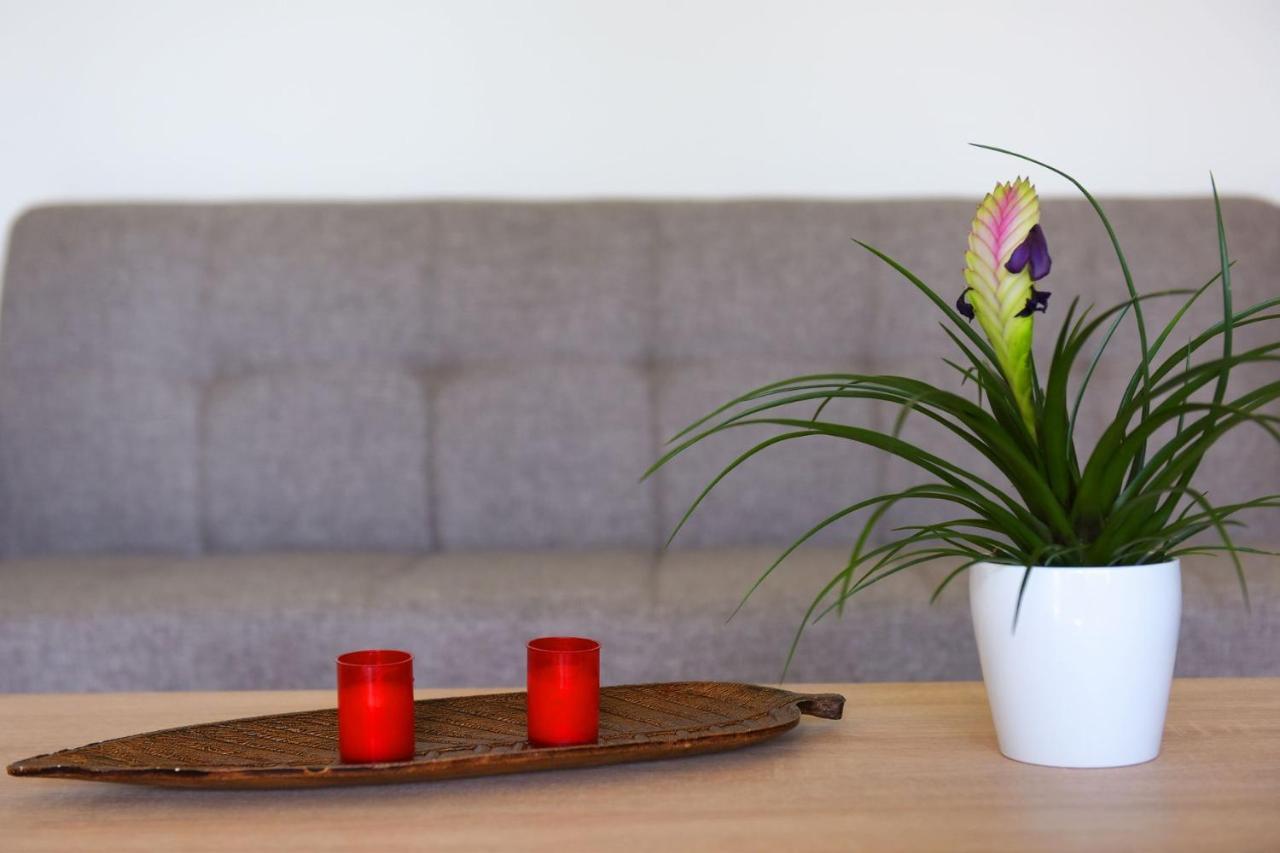 Stelia Luxury Apartments Kalavárda Екстериор снимка